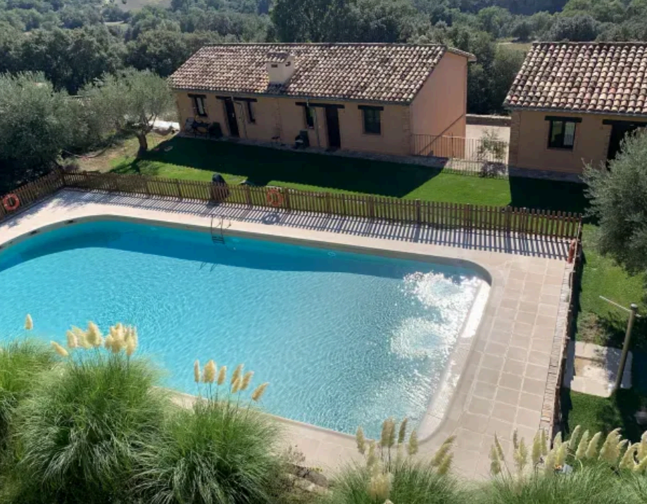Swimming pool of the accommodation surrounded by nature